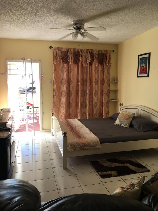 #D1 Castle Studio Wifi King Bed Ocho Rios Jamaica Exterior photo