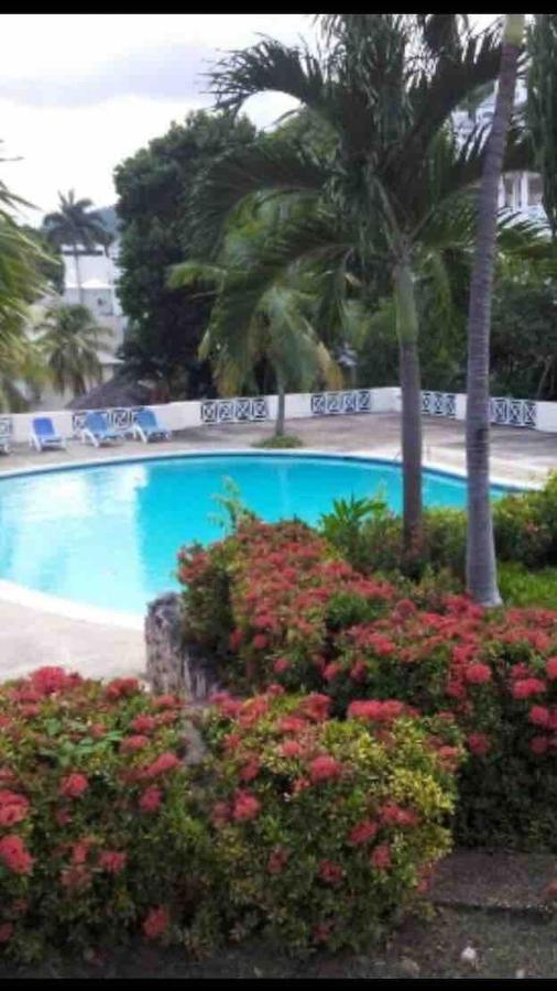 #D1 Castle Studio Wifi King Bed Ocho Rios Jamaica Exterior photo